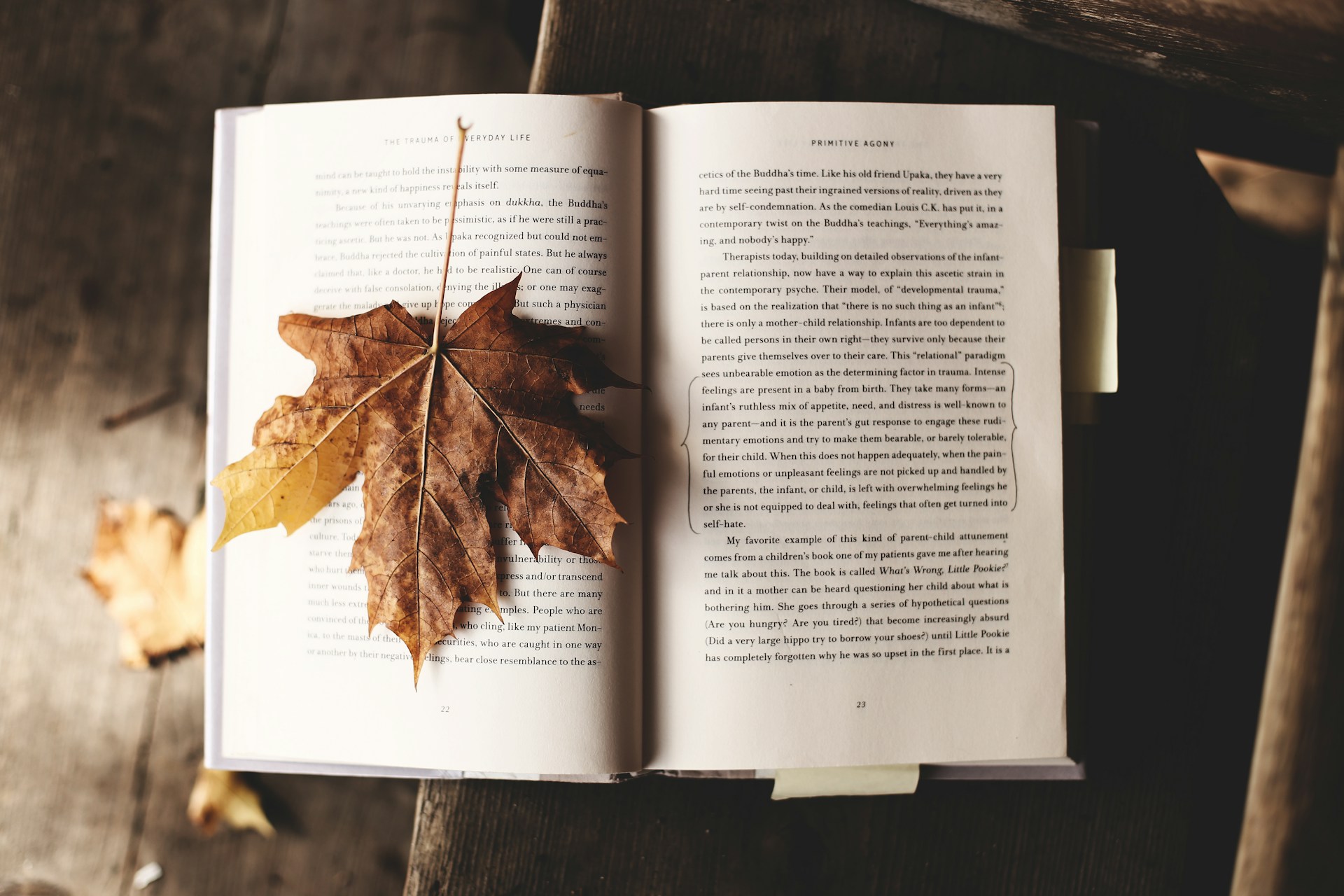 I libri che mi hanno cambiato la vita – parte prima.